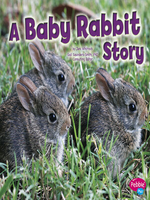 cover image of A Baby Rabbit Story